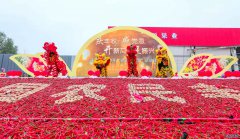 河南三门峡：互联网助力“丰收节” 开创乡村振兴新局面